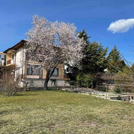Villa Elina バルチク エクステリア 写真