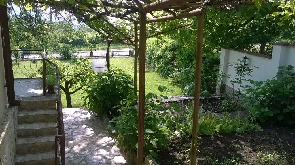 Villa Elina バルチク エクステリア 写真