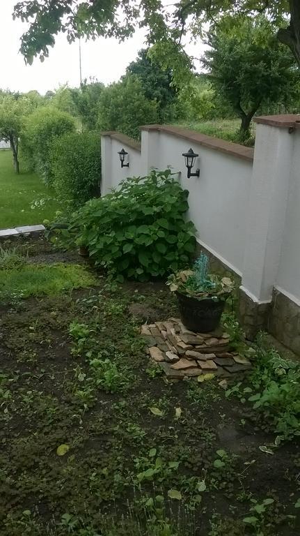 Villa Elina バルチク エクステリア 写真