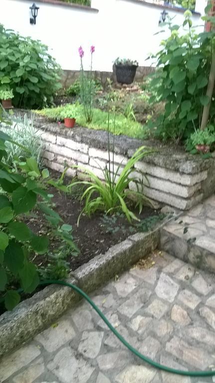 Villa Elina バルチク エクステリア 写真