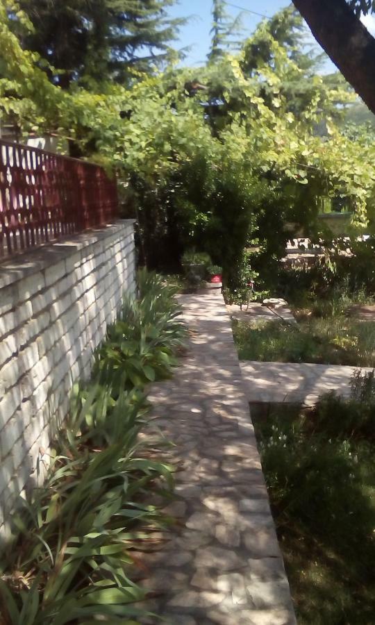 Villa Elina バルチク エクステリア 写真