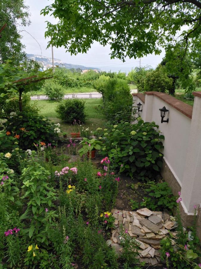 Villa Elina バルチク エクステリア 写真